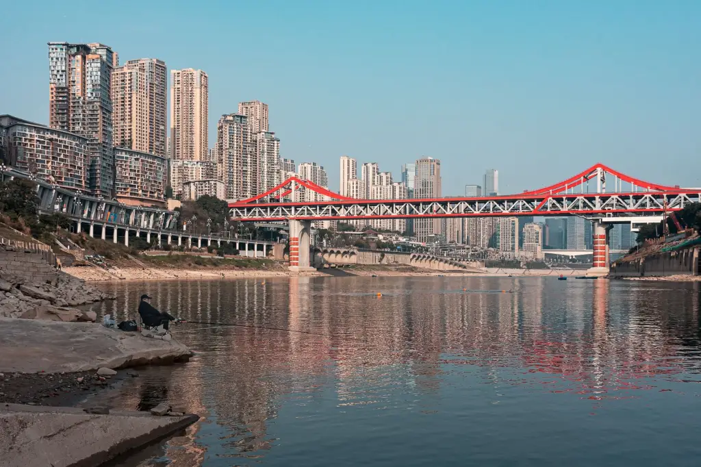 工业读码器与条码扫描器选型对比：关键参数与场景适配分析封面图